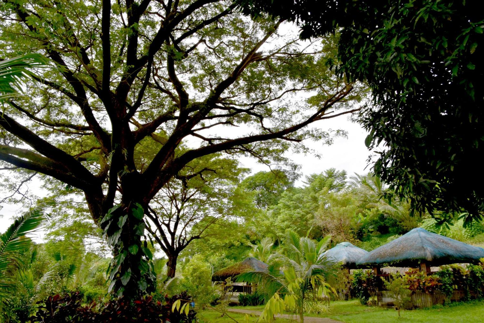 Isla De Oro Hotel Mamburao Extérieur photo